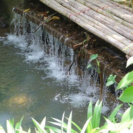 Pa Khlok Baan Rai Me Rak Organic Farmstay מראה חיצוני תמונה