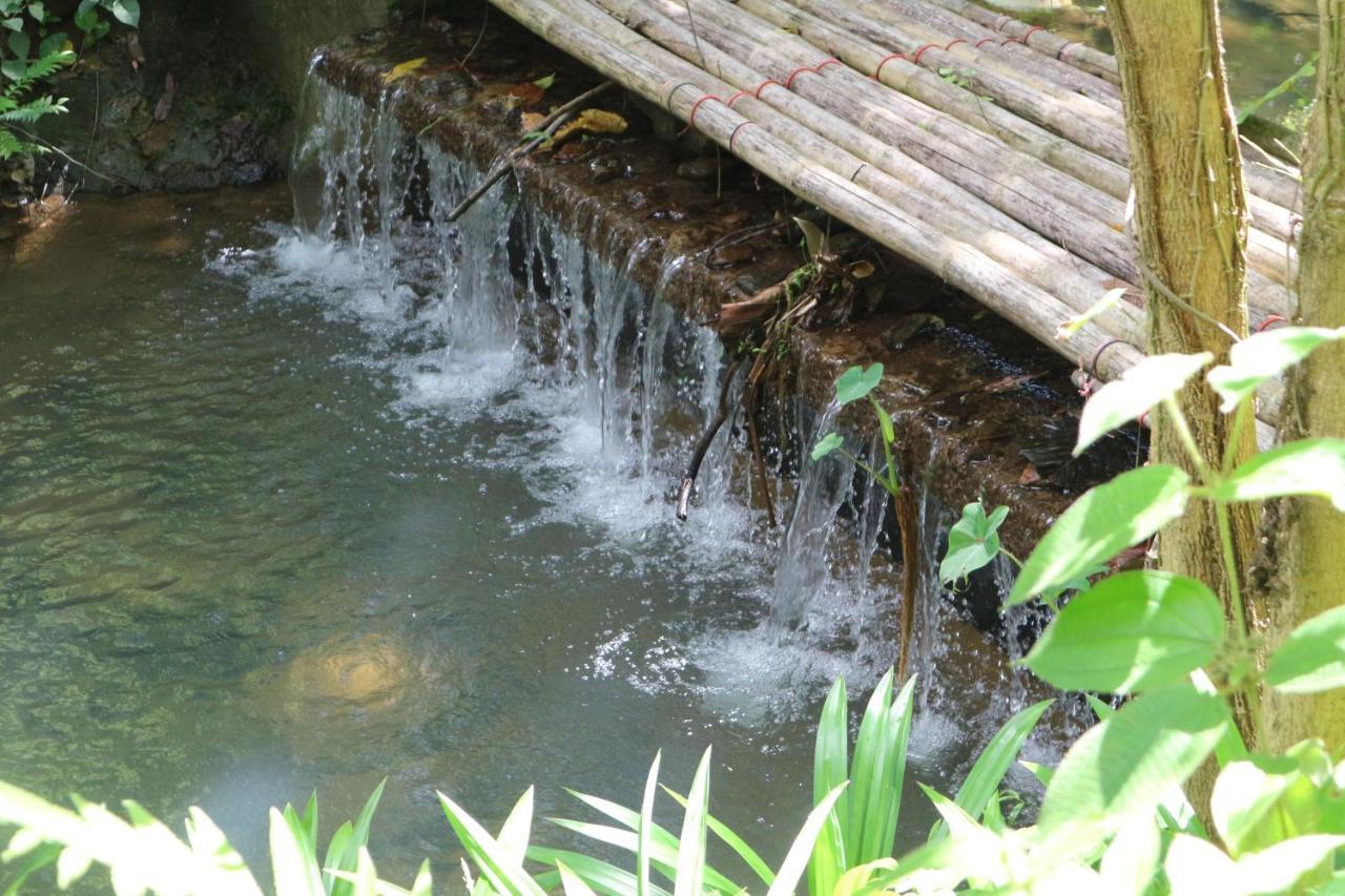 Pa Khlok Baan Rai Me Rak Organic Farmstay מראה חיצוני תמונה